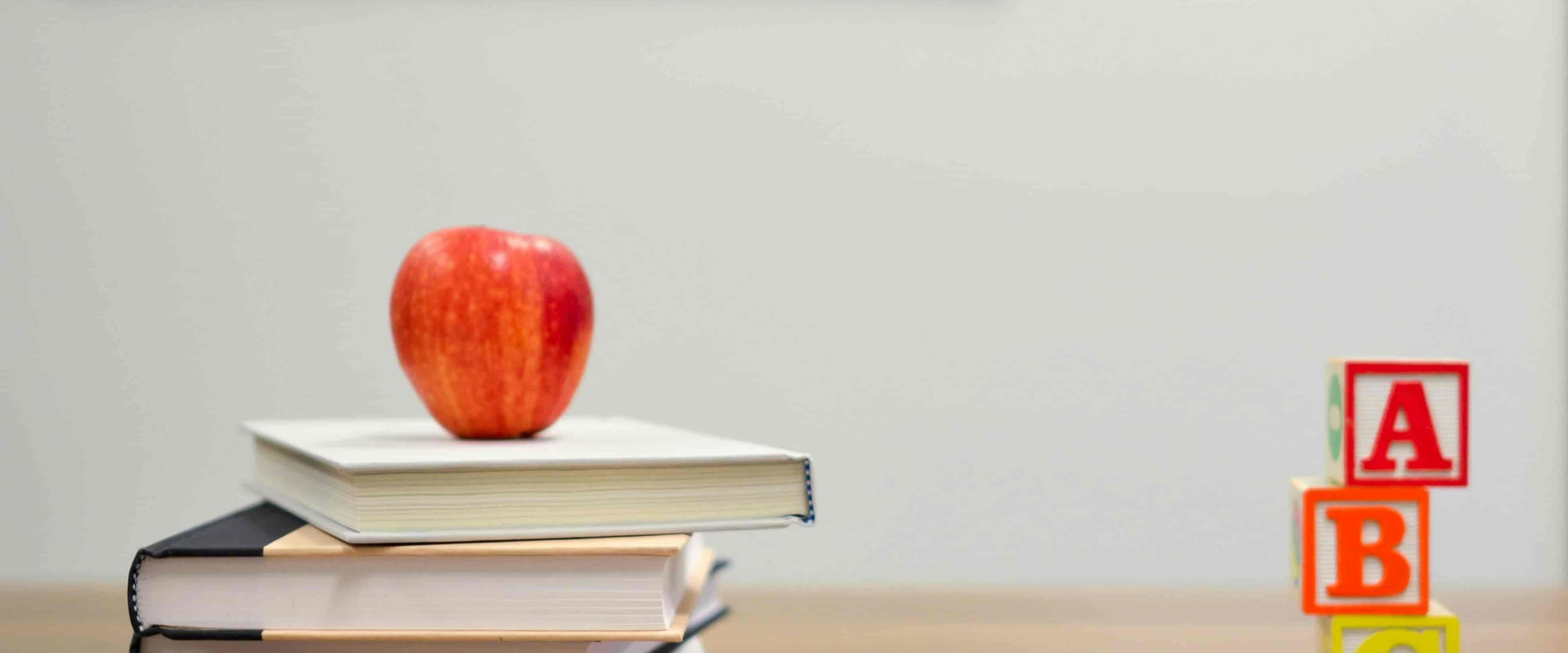 بنر فروشگاه شهر فرهنگ و هنر | Culture and Art City